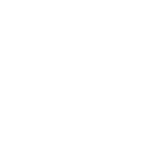 Grafisch bureau Wetteren - Mioo Design - Klant Logo EWS - West-Vlaanderen