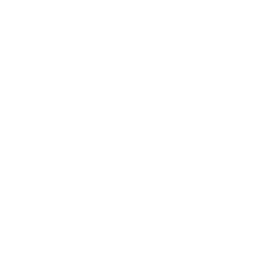 Creatief bureau Edegem - Mioo Design - Klant Logo Aniwayz - West-Vlaanderen